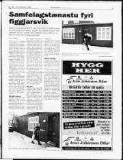 Síða 3