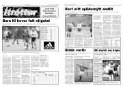 Síða 8