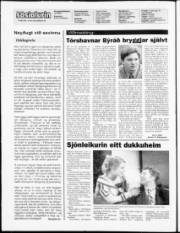Síða 2