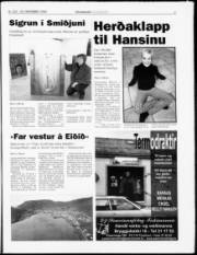 Síða 7