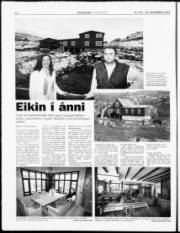 Síða 12