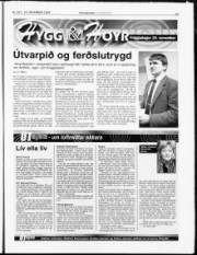 Síða 13