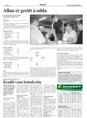 Síða 22