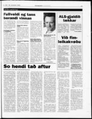 Síða 21