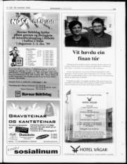Síða 23