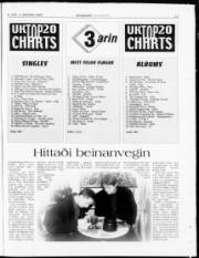 Síða 17