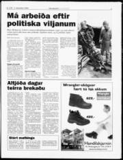 Síða 3
