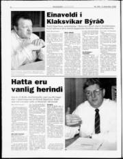 Síða 6
