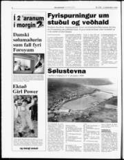 Síða 6