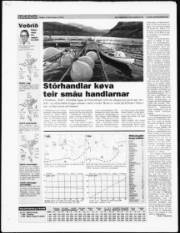 Síða 32