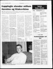 Síða 21