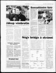 Síða 23