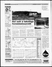 Síða 31