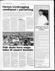Síða 17