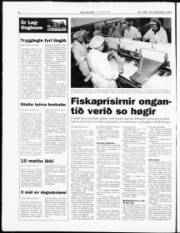 Síða 6