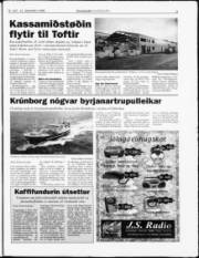 Síða 3