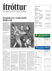 Síða 17