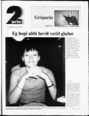 Síða 15