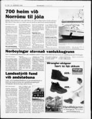 Síða 3