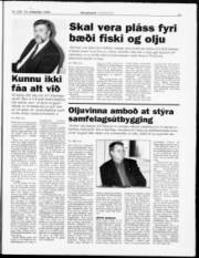 Síða 11