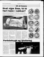 Síða 17
