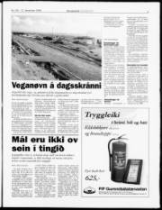 Síða 5