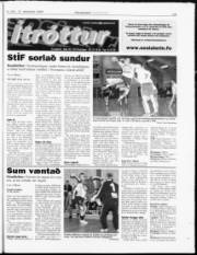 Síða 25