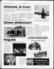 Síða 7