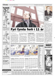 Síða 13