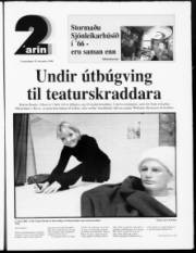 Síða 15