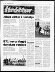 Síða 13