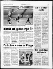 Síða 15