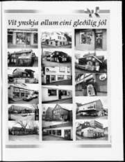 Síða 21