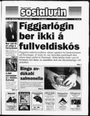 Síða 1