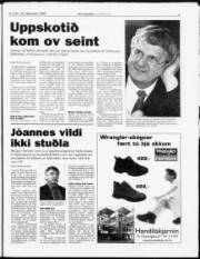 Síða 3