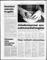 Síða 6