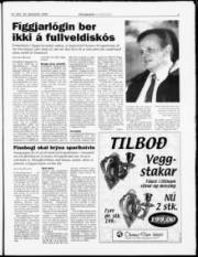 Síða 7