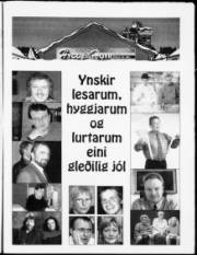 Síða 17