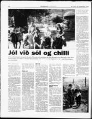 Síða 14