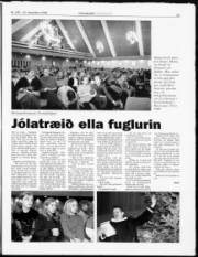 Síða 15