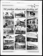 Síða 17