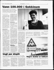 Síða 3
