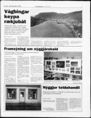 Síða 7