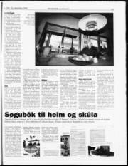 Síða 19