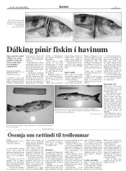Síða 9