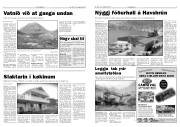 Síða 4