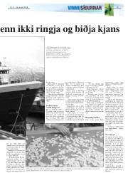 Síða 19