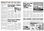 Síða 2