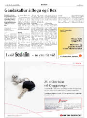 Síða 17