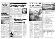 Síða 5